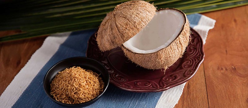 toasted-desiccated-lifestyleshot-big19